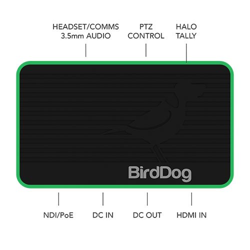 BirdDog Flex 4K In