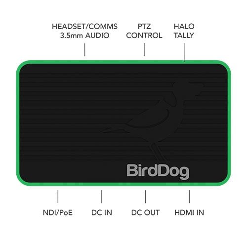 BirdDog Flex 4K In