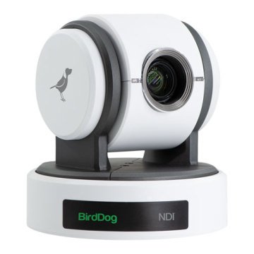 BirdDog Eyes P100 PTZ Kamera