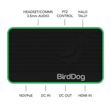 BirdDog Flex 4K In Converter