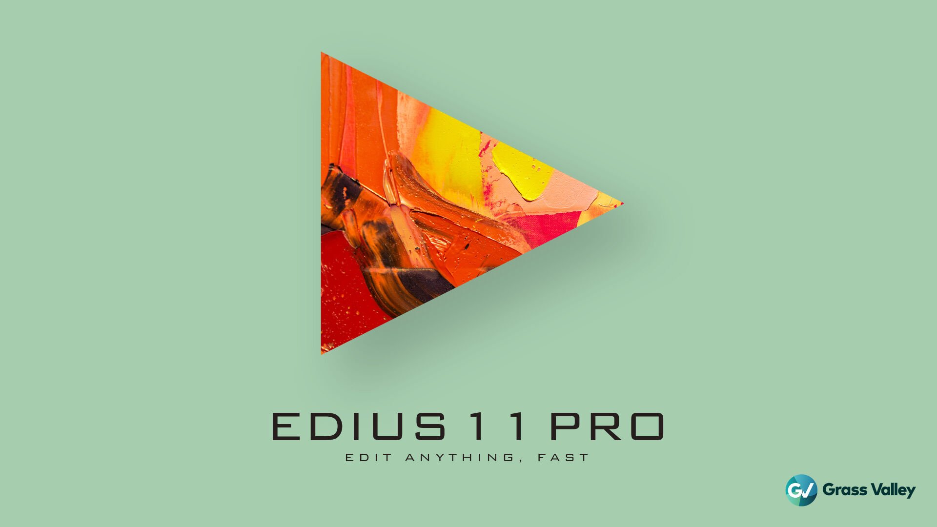 EDUIS 11 Pro ビデオ編集ソフトウェア Edius 11 pro - 28.449,00 TL