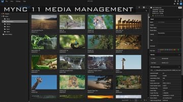 Edius 11 Pro Personal